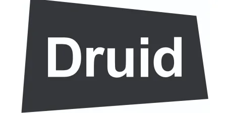 Druid Software