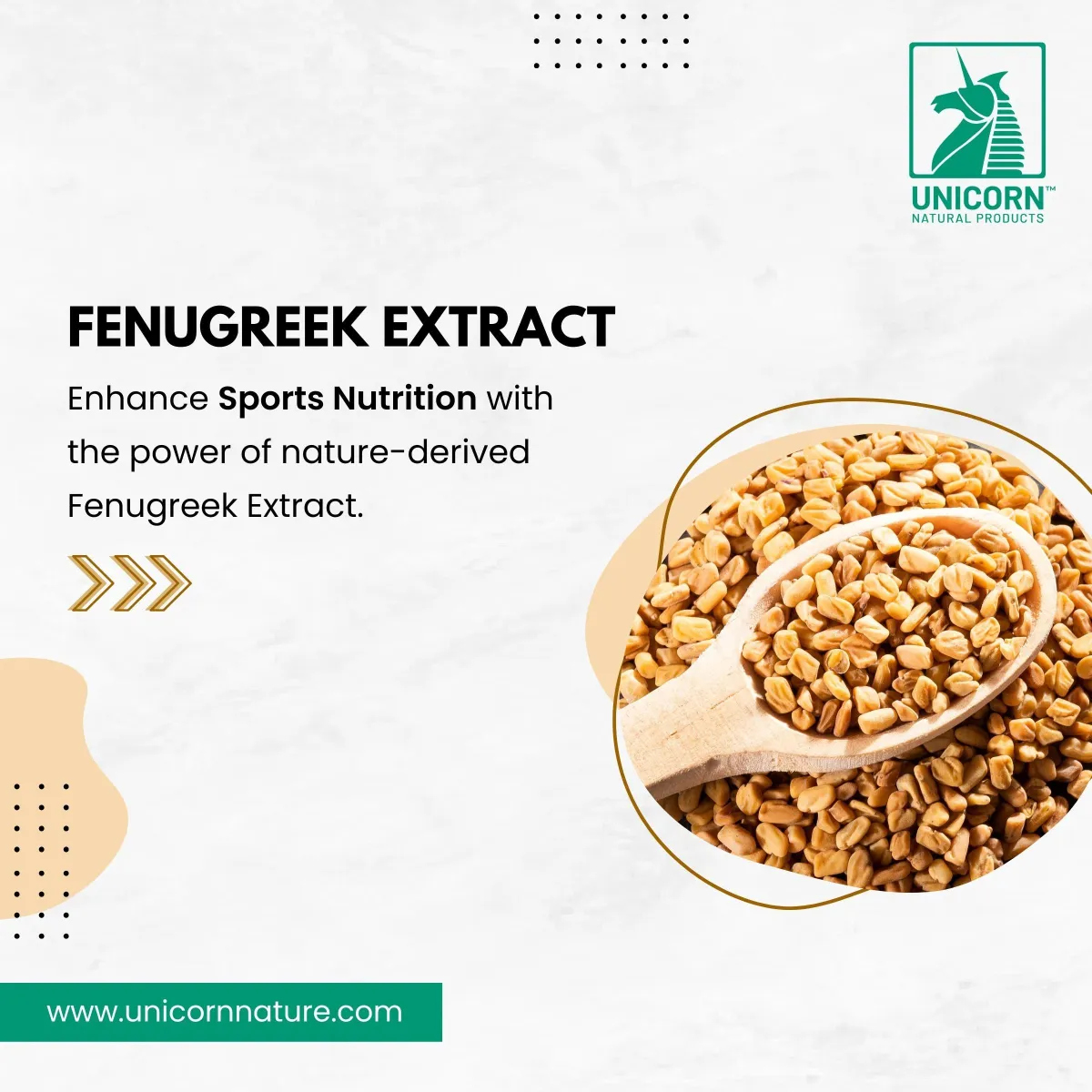 Fenugreek Extract