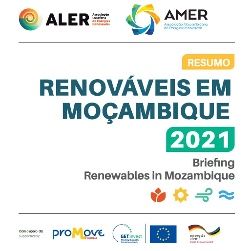 Briefing: Renewables in Mozambique 2021