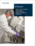 Contract Development Services