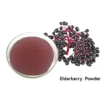 Fruit & Vegatable Powder