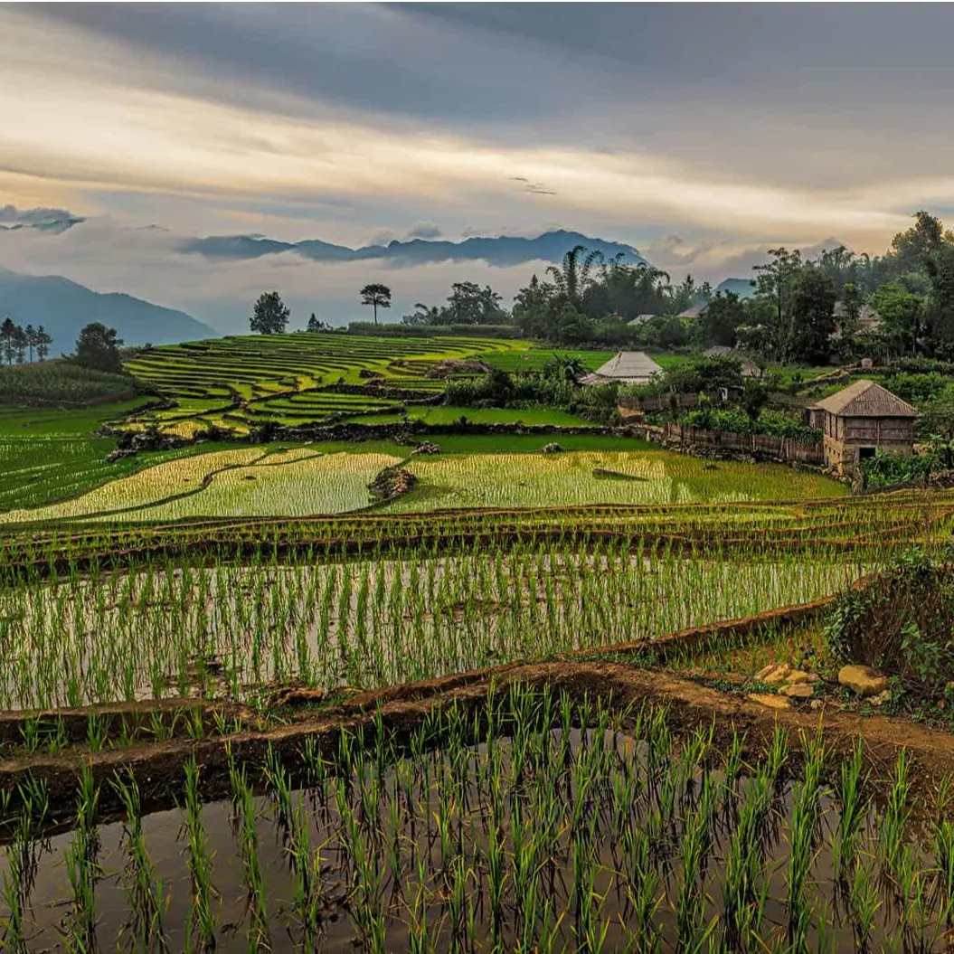 Funds Plus: Strengthening Impact Organisations Beyond Capital