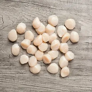 Hokkaido Scallops