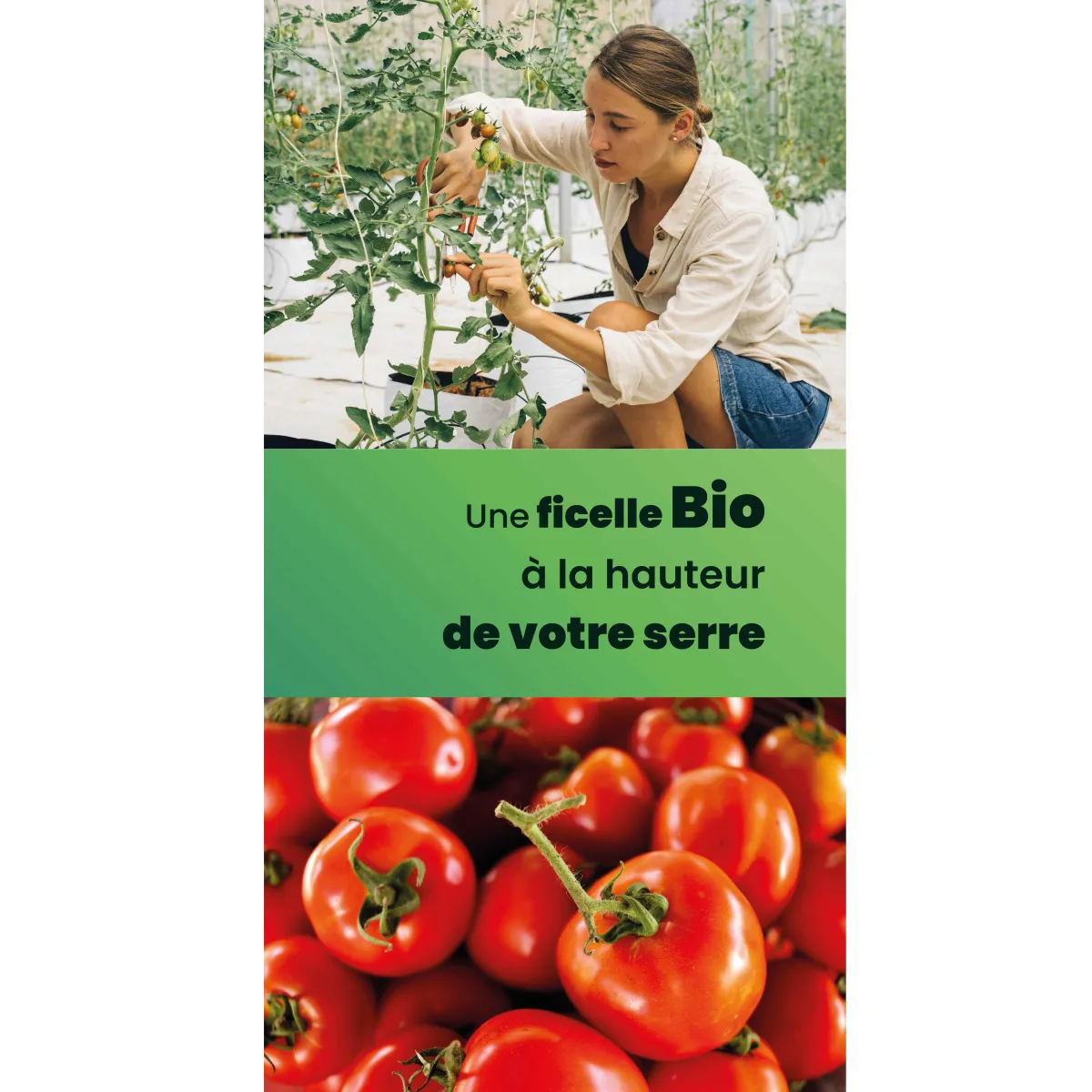 Ficelle Bio by Hilaturas Mar