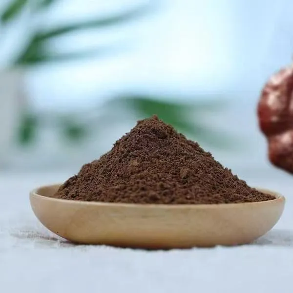 Reishi powder (Reishi extract powder 1:1)