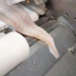 Robust - Reliable - Enhanced - BAADER 52 Neo Skinner