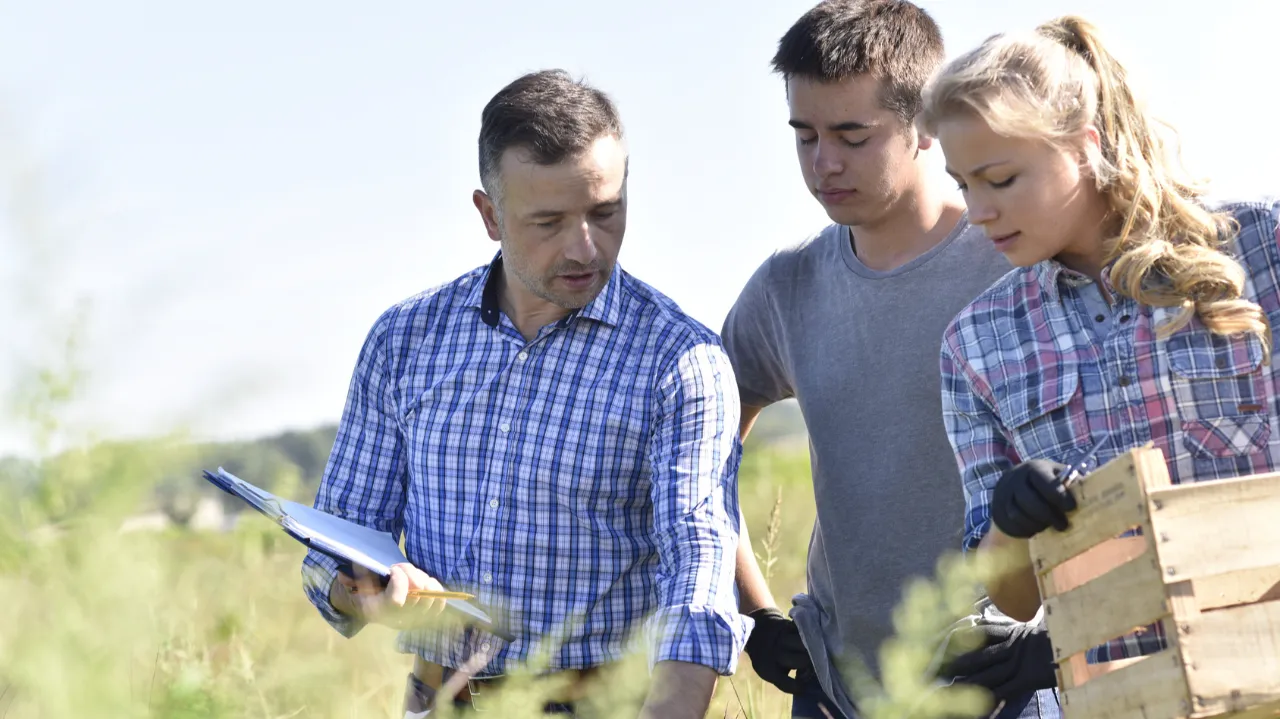 Se diversifier sur son exploitation : les bonnes questions pour réussir