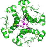 Peptide CRDMO Platform