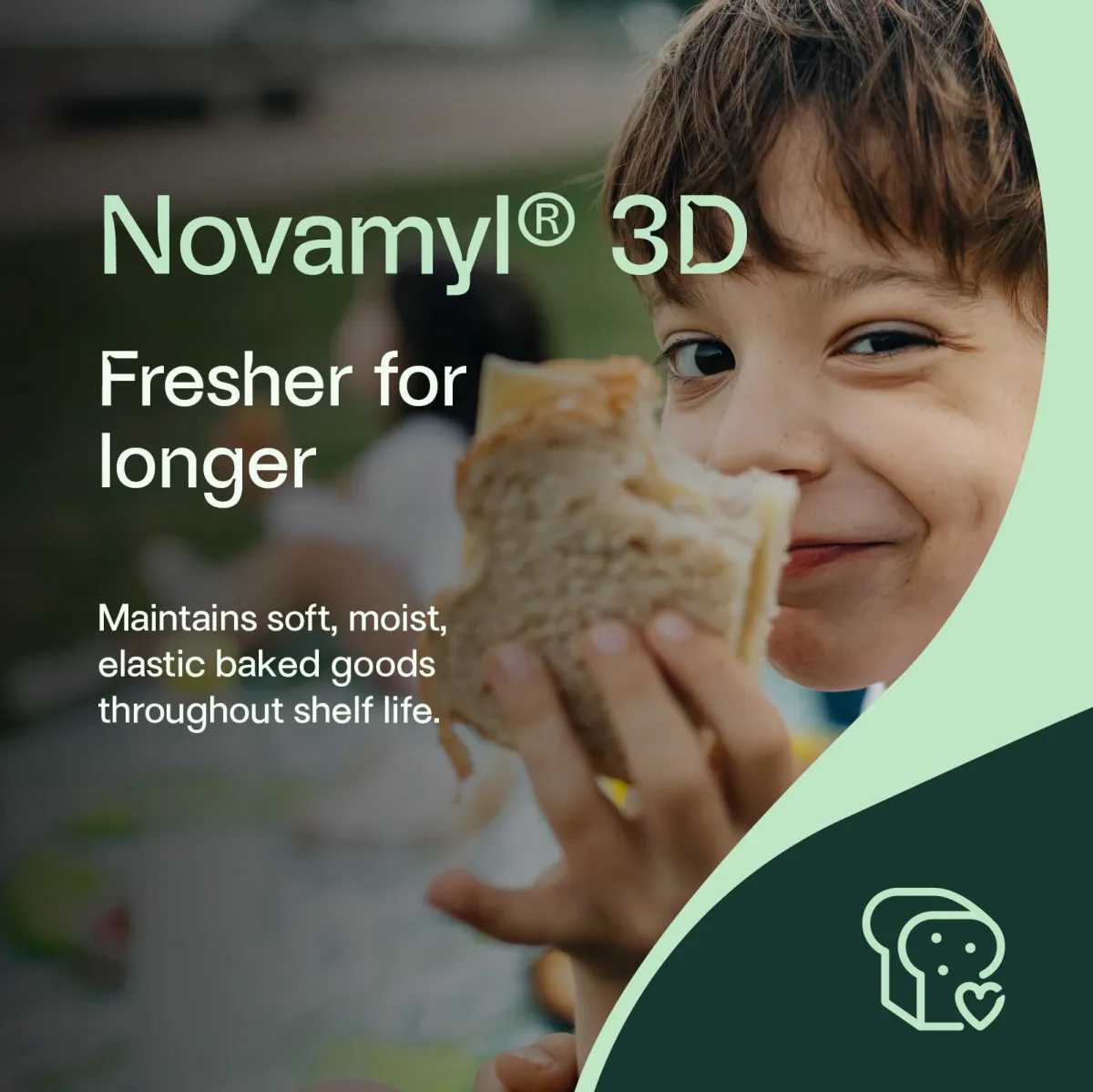 Novamyl® 3D