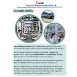 Levofloxacin API | Form: API Powder | CAS : 100986-85-4 / 138199-71-0 | Grade: IP/BP/USP | | Purity: 100%