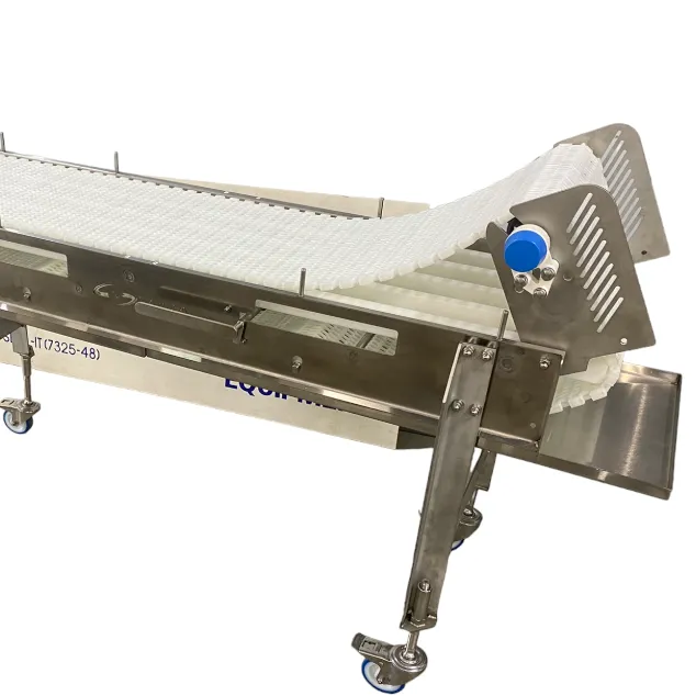 Sanitary Conveyors