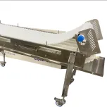 Sanitary Conveyors