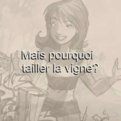 Vidéos sur les indispensables de la taille vertueuse de la vigne