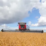 MASSEY FERGUSON | Colheitadeiras Axiais Draper