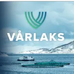 VÅRLAKS – Premium, All-Natural, Arctic Atlantic Salmon