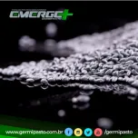 Sementes Forrageiras Emerge+