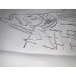 Gravação Laser / Química