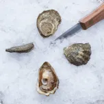 Northern West Coast Oysters