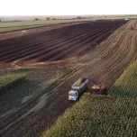 Consultoria em Agricultura Tropical Regenerativa