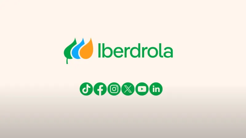 Iberdrola - Balance 2024 and milestones for 2025