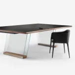 SCAMBIO Table Tennis