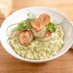 North Atlantic Sea Scallop