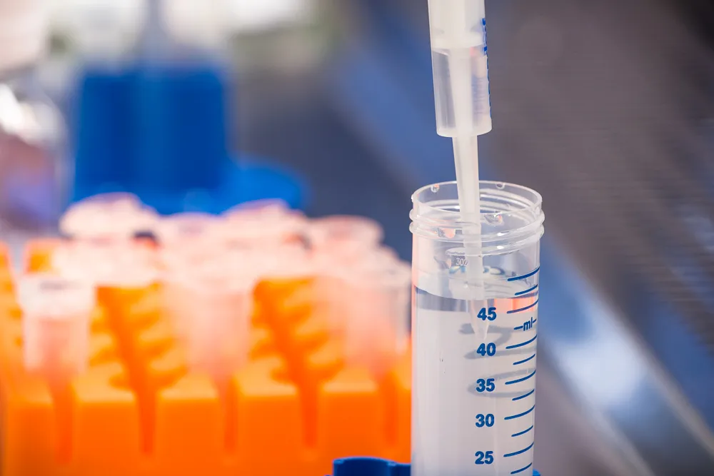 Drug Product Development