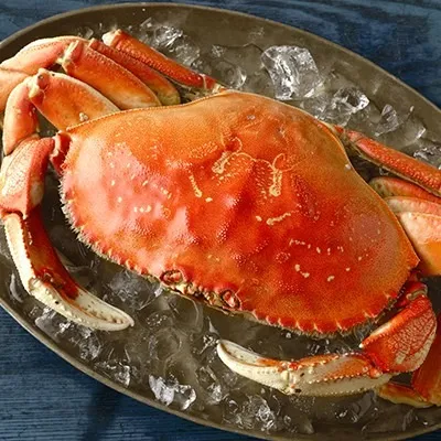 Dungeness Crab