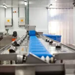 SHRIMP BEHEADING AND PEELING LINE