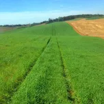 Guide 7.0 PP - Virtual Guidance System - Lightbar