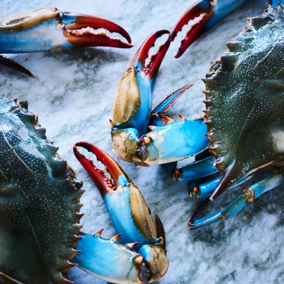 Pasteurized Blue Swimming Crab