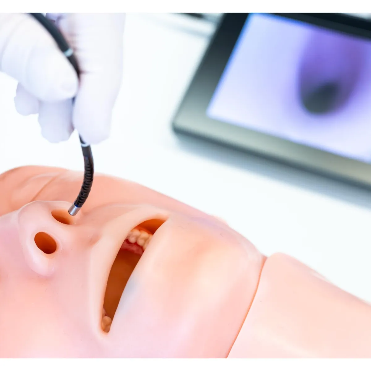 OEM: Mini Endoscope Camera with Display Device