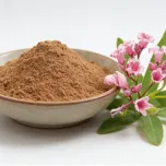 Apocynum Venetum Extract