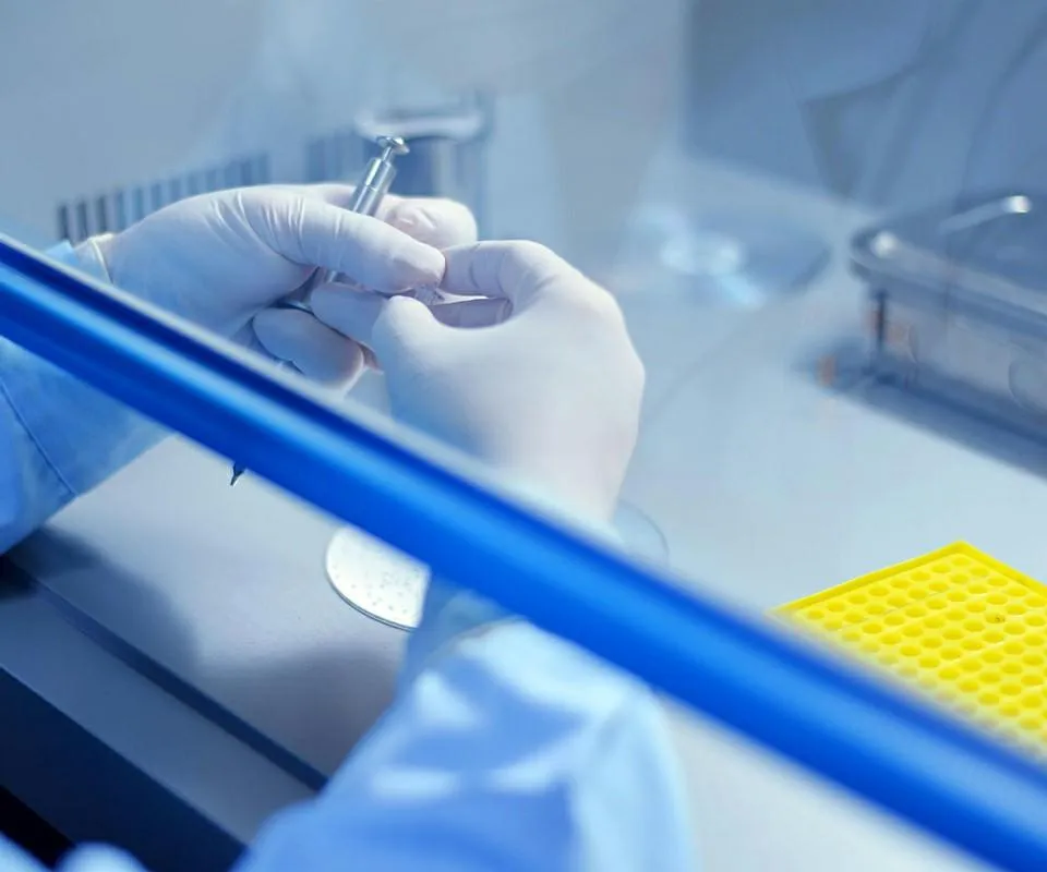 Analytical Development