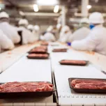 Esteiras Modulares e Correntes Plásticas ou Metálicas