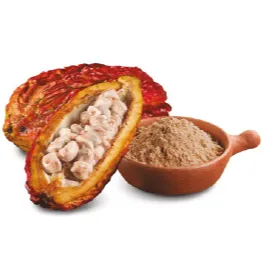 Cacao Powder