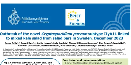 20b - Outbreak of the novel Cryptosporidium parvum subtype IIγA11 linked to mixed kale salad from salad bars in Sweden, December 2023