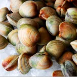 Hardshell, Steamers, Manila's, and more!