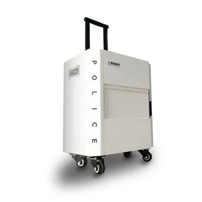 Quick TargSeq B Fully Integrated Automatic On-site Quick DNA Test System