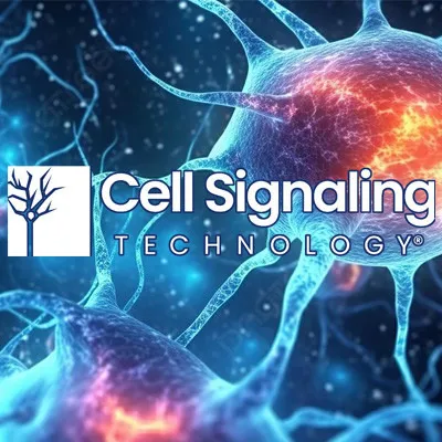 Antibodies and innovative solutions for research