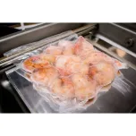 Seladoras a Vácuo de Câmara Simples VM