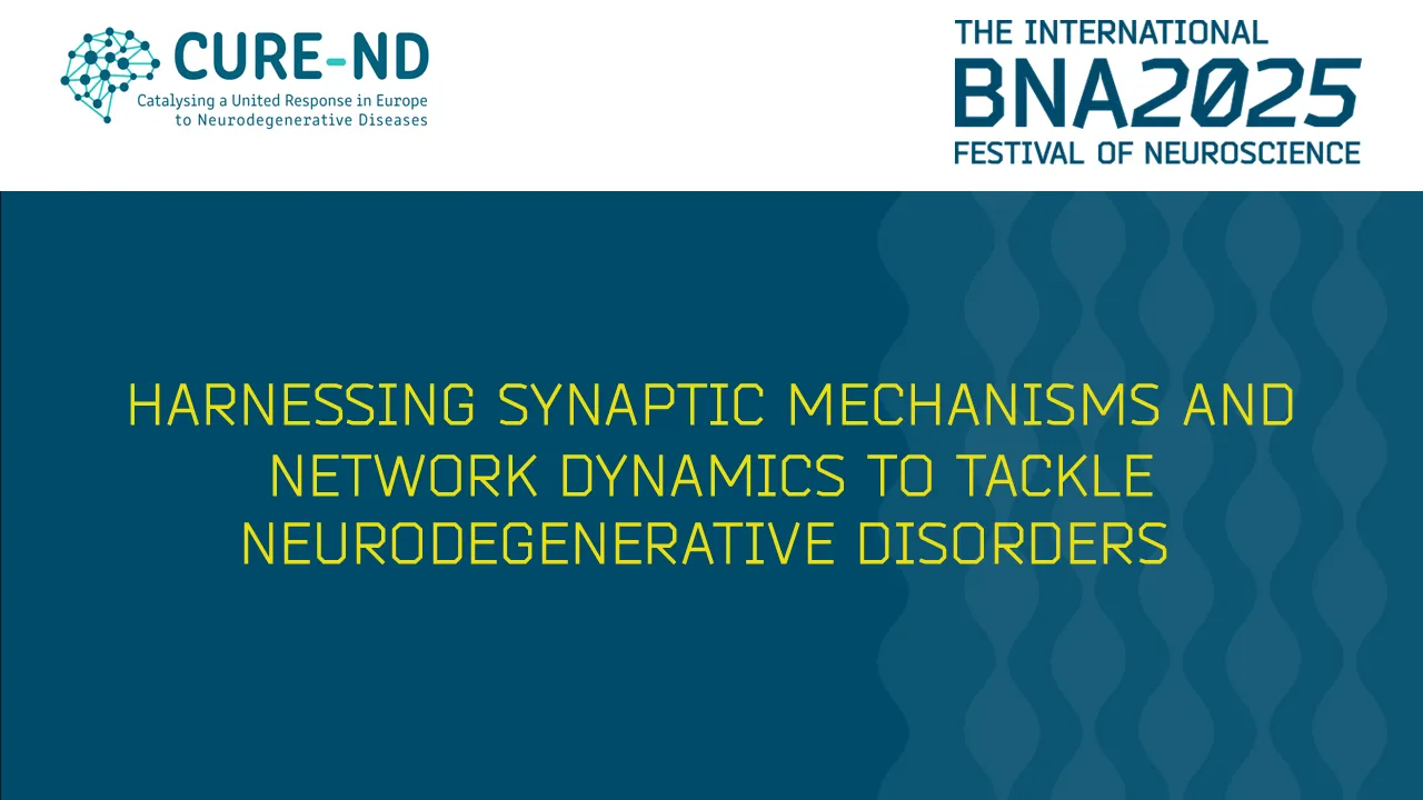 S15: Harnessing synaptic mechanisms and network dynamics to tackle neurodegenerative disorders