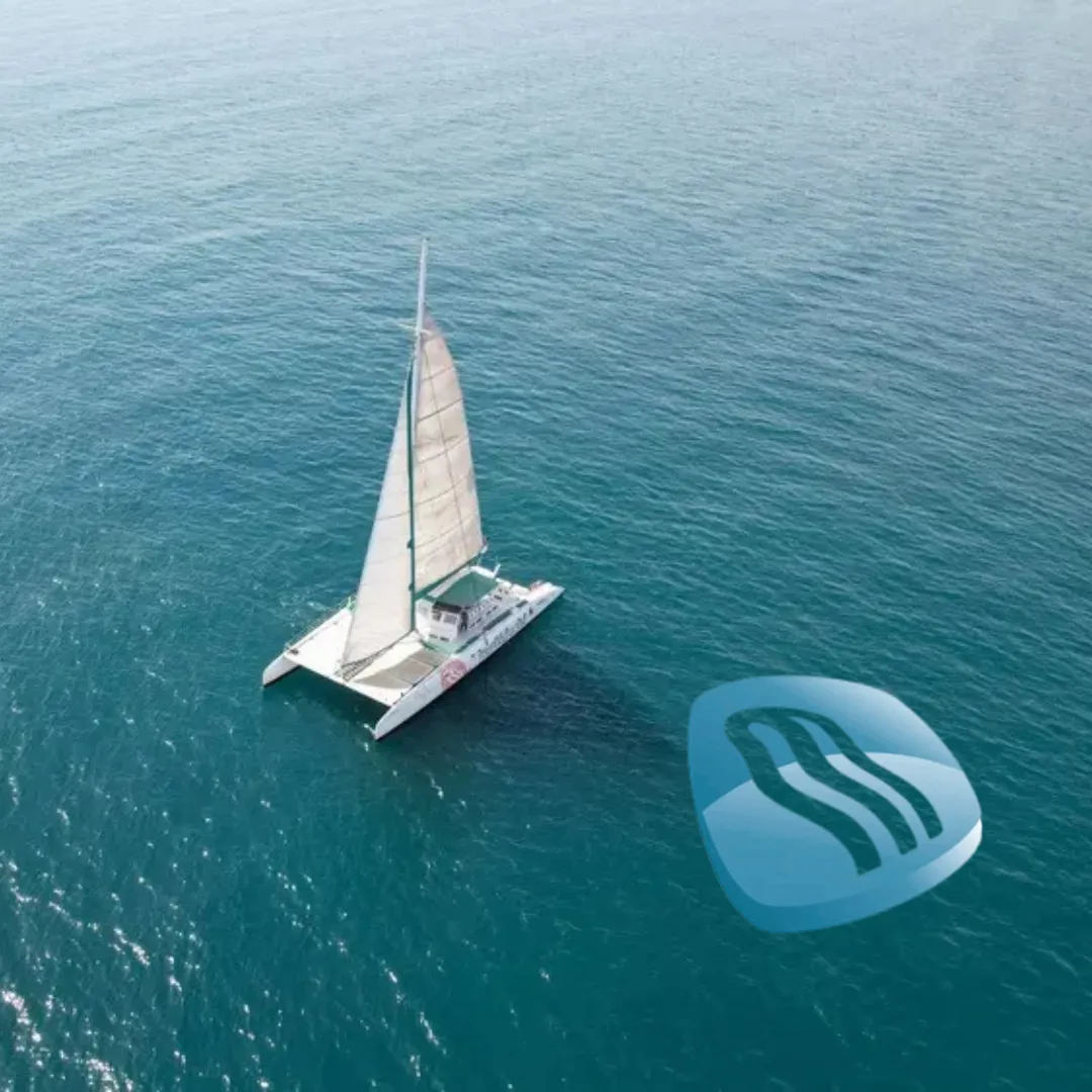 Catamaran Excursion Through the Bay of Valencia | By Mundo Marino