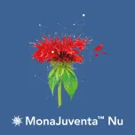 MonaJuventa™ Nu