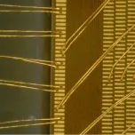 ViTiny UM30 4K Autofocus HDMI USB Digi Microscope