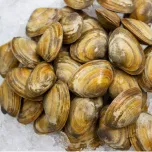 Hardshell, Steamers, Manila's, and more!