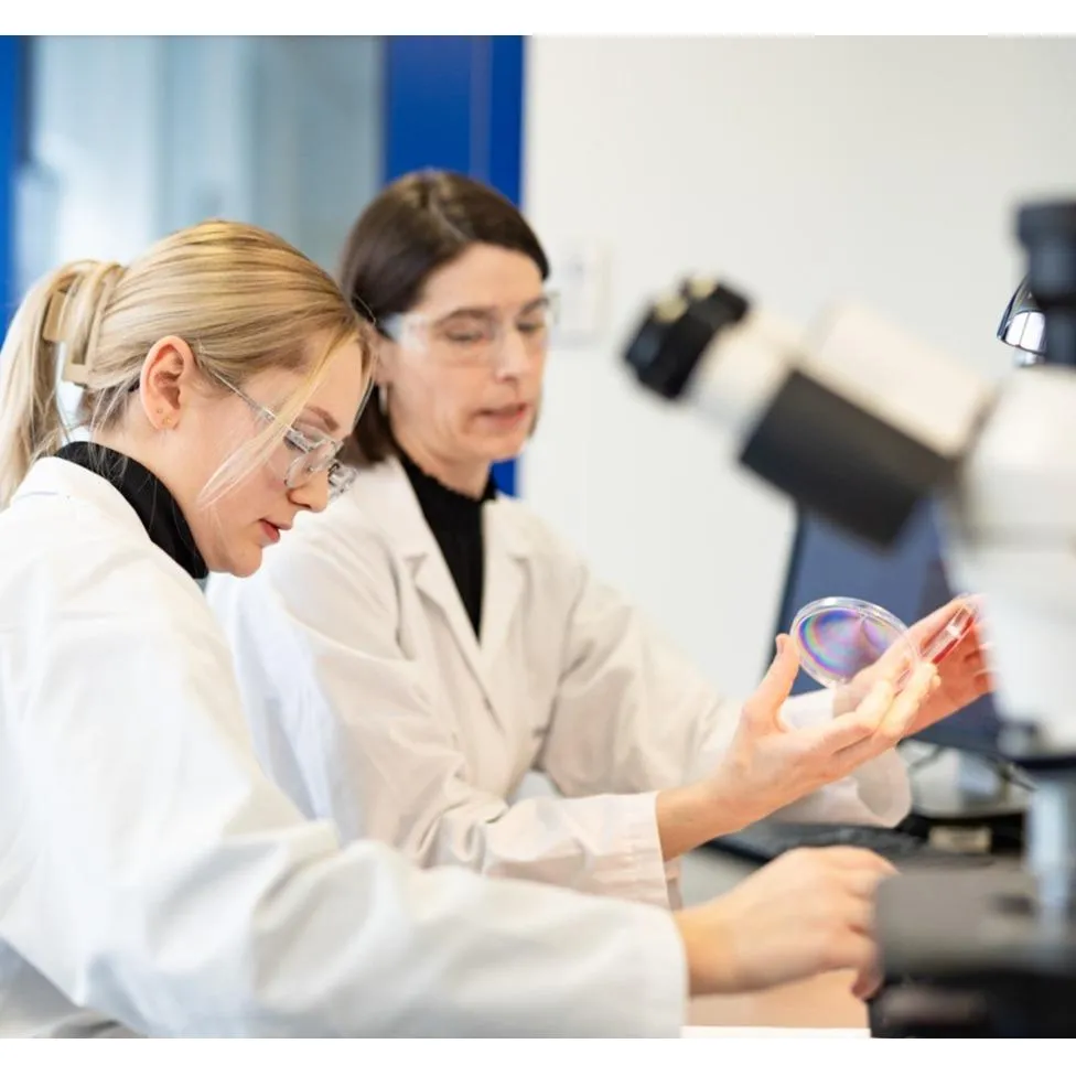 Non-sterile Product Testing