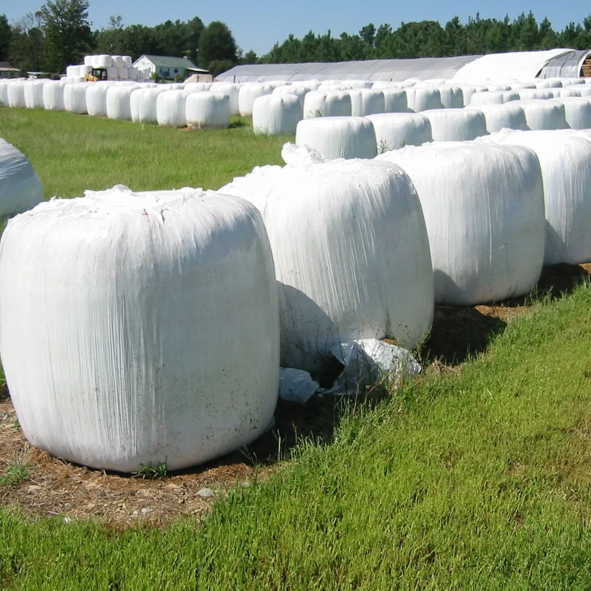 BALE-WRAP