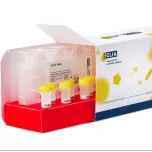 Fully automated CLIA solution from BioVendor Group