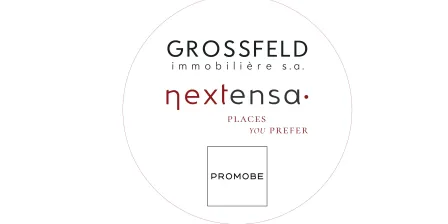 Grossfeld Immobilière SA